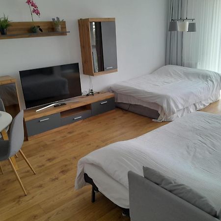 Coresi, 2 Camere, Sleeps 6 Large Private Garden Apartment Pets Welcome Braşov Esterno foto