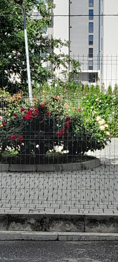 Coresi, 2 Camere, Sleeps 6 Large Private Garden Apartment Pets Welcome Braşov Esterno foto