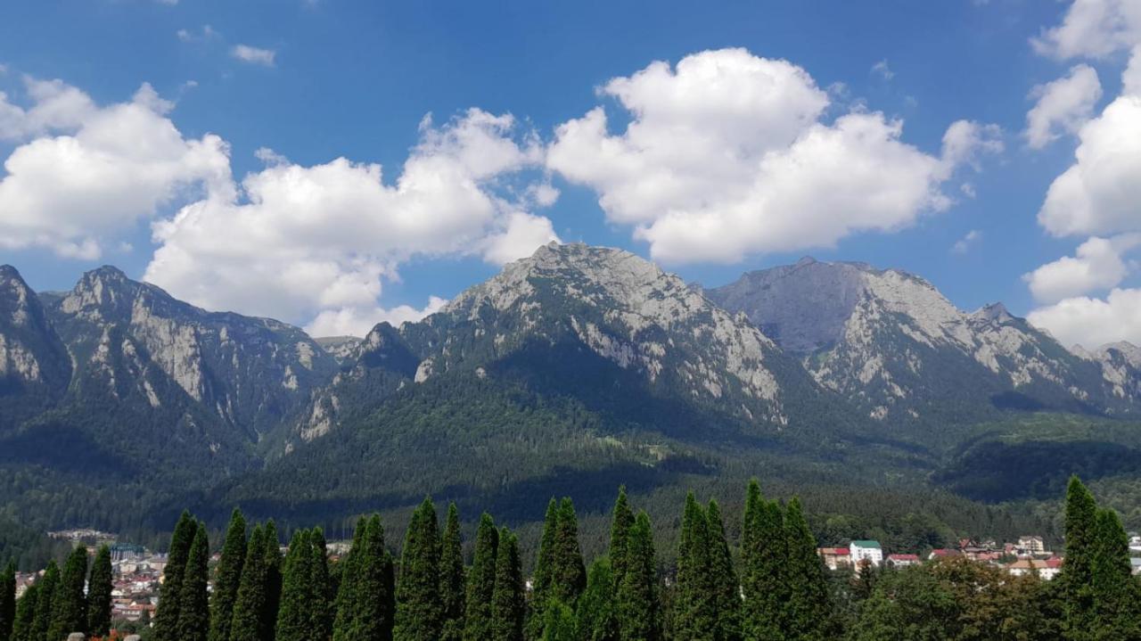 Coresi, 2 Camere, Sleeps 6 Large Private Garden Apartment Pets Welcome Braşov Esterno foto